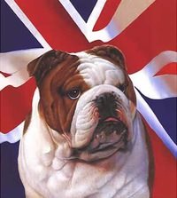 Логотип компании British Bulldog, школа английского языка