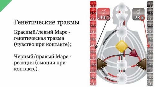 Фото Contour школа