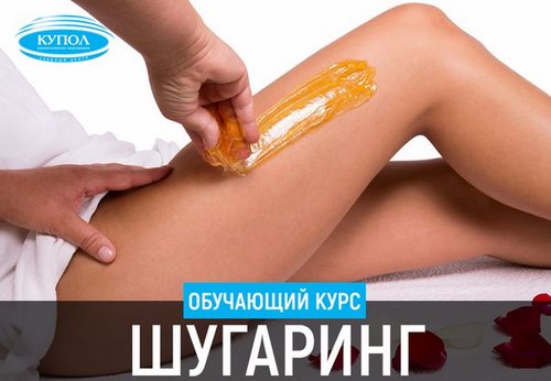 Новость Купол учебный центр