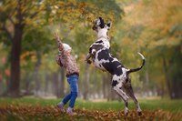 Фото Сибирята семейный центр