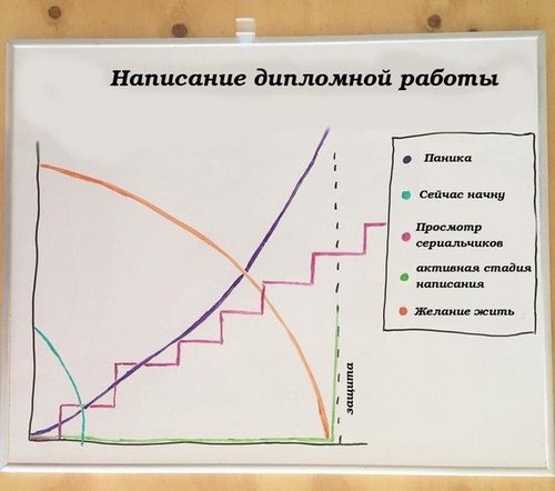 Фото СибЗнание информационно-консультационный