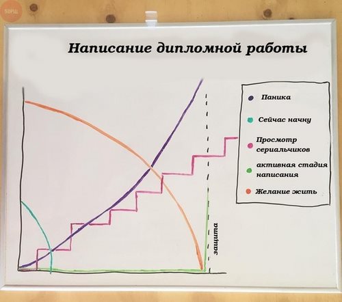 Картинка Студенту 5 Красноярск