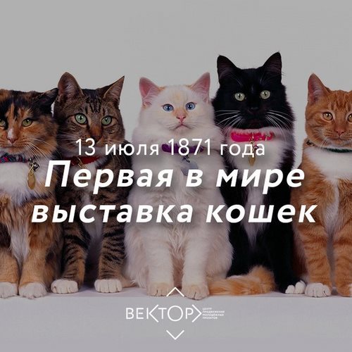 Изображение Вектор, центр продвижения молодежных проектов