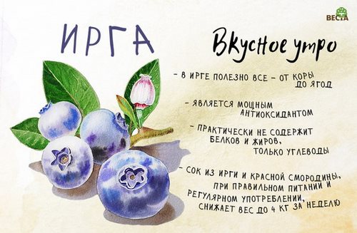 Изображение Веста